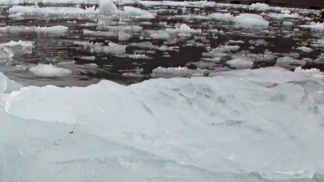 A rugged rocky coast borders cold water scattered with floating ice. The scene also contains surface texture and natural light, with the framing revealing natural texture and spatial depth.