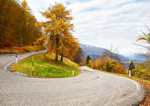 The winding serpentine road curves through  fall  forest, Alps, Northern Italy. Sharp hairpin turn on an asphalt mountain road.  Scenic alpine landscape under a cloudy sky,