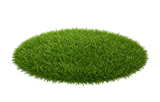 Realistic Oval Artificial Grass Mat Isolated on Transparent Background