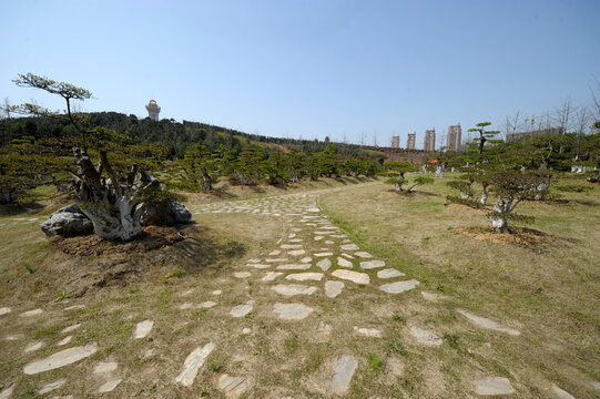 Zanglong Wetland Park - Urban Nature Landscape with Stone Path and City Skyline