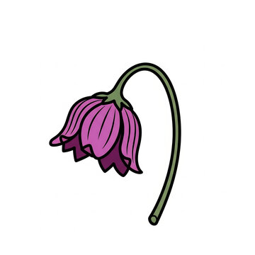 Purple flower illustration with drooping stem on white background