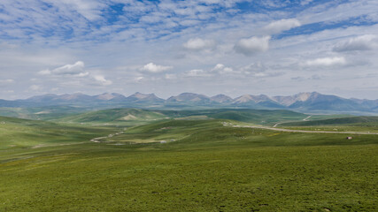 Fototapeta premium Summer Landscape of Qilian Mountains and Green Grassland in Gansu, China