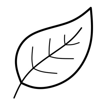 Simple black outline of a single leaf with visible veins on a gray background. Clean minimalist design for icons. Ideal for eco-friendly branding and botanical logos.