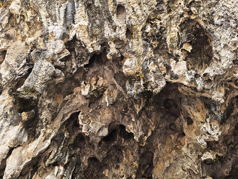 Weathered Limestone Cave Rock Texture with Moss and Eroded Crevices
