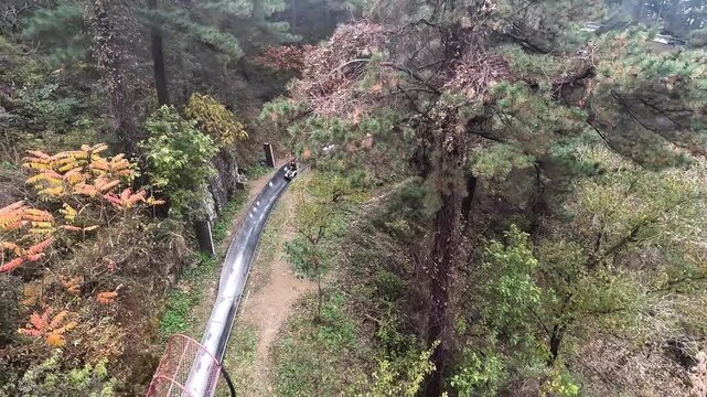 Aerial view of un recognizable tourists sliding down on toboggan from Mutianyu section of China Great Wall in Autumn season with golden color foliage