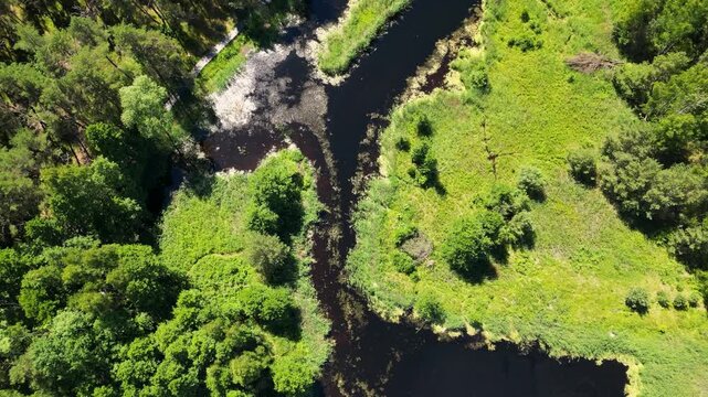Aerial view of Silinupe river between Lapmezciems and Bigaunciems villages, Latvia