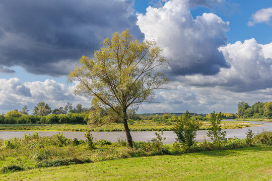 Bug river in Brok town, Masovian Voivodeship of Poland