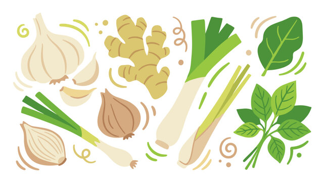Set of organic culinary herbs and aromatics, hand drawn vegetables for cooking recipes, healthy ingredient collection, fresh garden seasonings