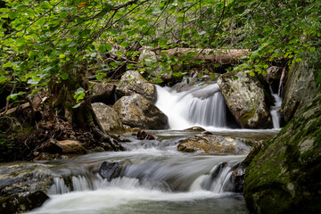 Fototapeta premium Mountain stream cascading over mossy boulders with fallen log, Appalachian forest