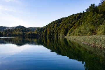 Fototapeta premium lakeview with forest