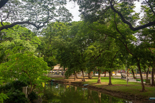 Beautiful nature at morning with sun in big city park