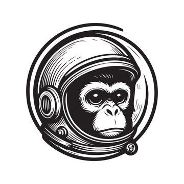 Black and white illustration of a chimpanzee wearing a vintage astronaut helmet.