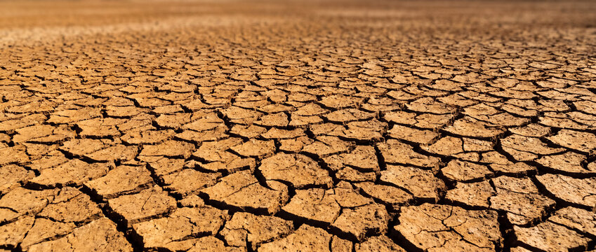 Cracked Dry Earth During Severe Drought and Climate Change