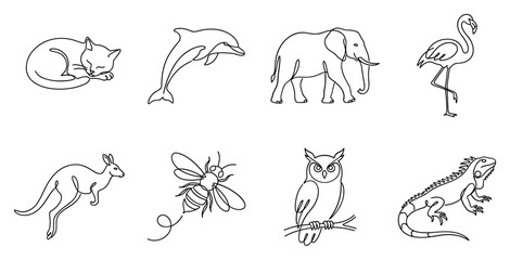 Obraz premium A collection of eight various animals sketched in outline style including a cat dolphin elephant flamingo kangaroo bee owl and iguana.
