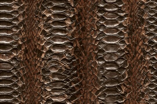 Seamless snake texture, python skin, crocodile texture, leather, animal skin.
