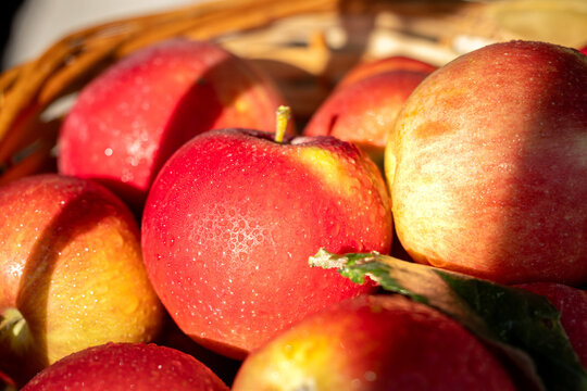 Fresh red apples with water drops in basket