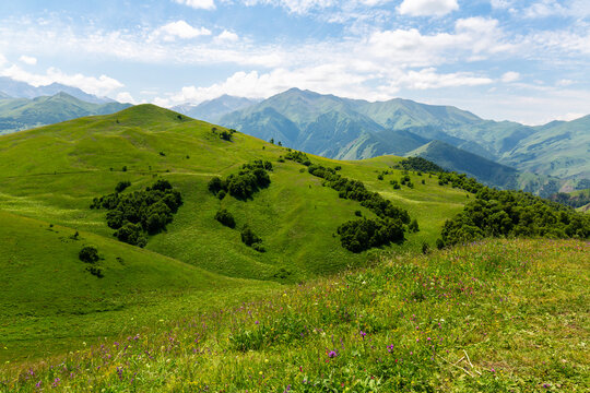 The green slopes of the Caucasus Mountains under a blue sky