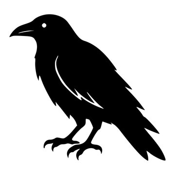 Gothic raven crow standing with folded wings and sharp beak, black silhouette vector icon for dark mystical Poe nevermore, omen, corvid bird, Halloween, tattoo and sticker designs.