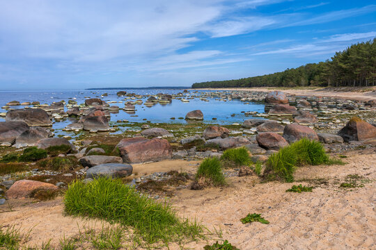 Baltic Sea Scenic Coastline In Estonia