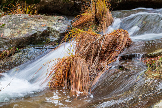 Arroyo de aguas sedosas fluyendo entre rocas y peque&ntilde;os juncos en oto&ntilde;o. Sierra de Guadarrama, arroyo del Chorro en San Mam&eacute;s, Madrid, Espa&ntilde;a.