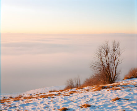 Paysage hivernal au lever du soleil avec mer de nuages, arbres d&eacute;nud&eacute;s et ciel pastel sur une colline enneig&eacute;e
