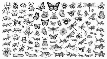Obraz premium Hand Drawn Bug Doodle Vector Bundle of Cute Ground and Flying Insects