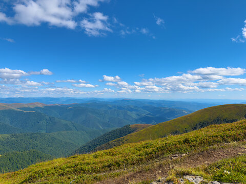 Perspective landscape of grassy slope in foreground overlooking layers of rolling green mountain ridges stretching under vibrant blue sky with clouds in Carpathians Ukraine