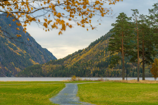 Access to a mountain lake follows a narrow path across green grass toward Lake Bandak between wooded slopes in Dalen, Norway, offering an open route into the autumn valley landscape.
