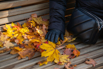 Obraz premium Black gloved hand rests beside a leather bag and colorful fallen maple leaves on a wooden park bench. Autumn lifestyle detail, seasonal fashion, fall colors, outdoor leisure and urban park scene