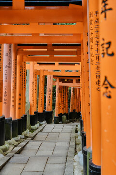 Thousands of vermillion torii gates at Fushimi Inari Shrine, Kyoto, Japan