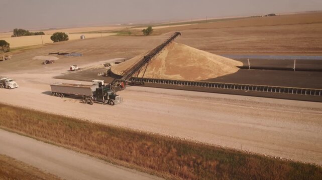 Quarry yard seen from high viewpoint with sand mound, angled conveyor feeding lined pit, and heavy trucks with earthmoving equipment working under warm daylight