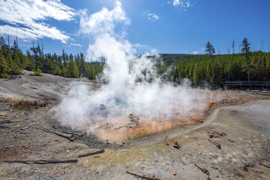 Steaming hot spring, colourful mineral deposits, Noris Geyser Basin, Yellowstone National Park, Wyoming, USA