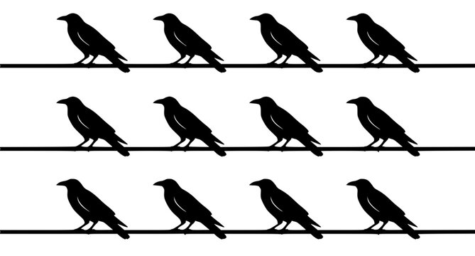Minimalist vector illustration of a row of 12 black crows set with simple line art design featuring simple design, minimalist, black and white with illustrations and graphics