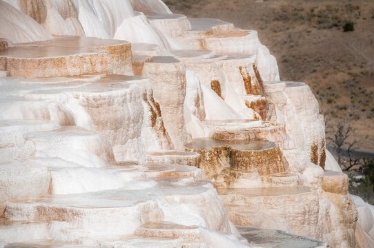 Sinter terraces with calcareous tuff deposits, hot springs, colorful mineral deposits, Palette Springs, Lower Terraces, Mammoth Hot Springs, Yellowstone National Park, Wyoming, USA