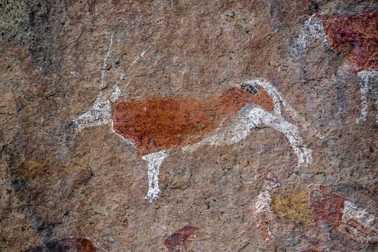 White Lady Rock Painting, White Lady Painting, Depiction of Hunters and Animals, Rock Paintings in Maack's Shelter, Tsisab Gorge, Brandberg, Erongo, Namibia