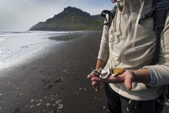 Woman with shells in hand, beach, Brei&eth;av&iacute;k, East Fjords, V&iacute;knasl&oacute;dir, Iceland