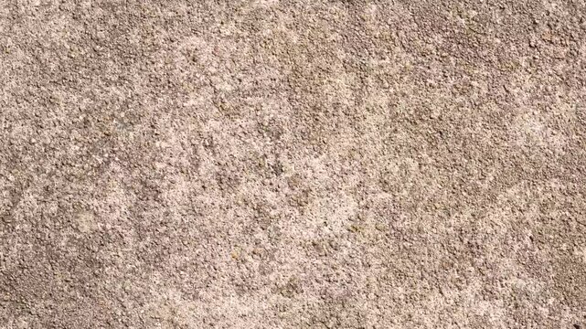 Abstract grunge concrete wall texture background in 4k ultra hd resolution