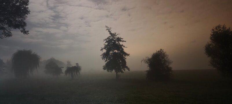 misty morning mist