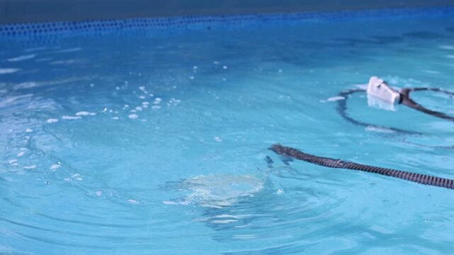 Automatic pool cleaner with attached hose and filtration system collecting sand and dirt from bottom of swimming pool