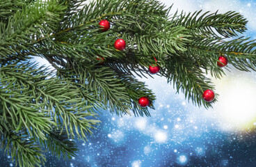 Close up of green fir branch decorated with small red berries against a magical blue winter background with falling snow and bokeh lights Perfect for festive holiday greetings © Tetiana