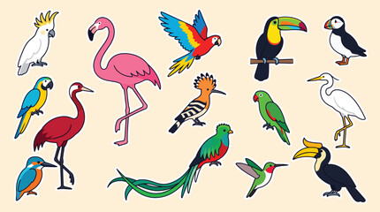 Fototapeta premium Tropical bird vector collection, exotic avian species set with flamingo and parrot, colorful wildlife illustrations for educational design