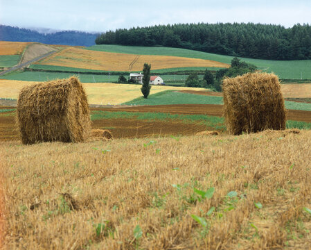 Round hay bales in a harvested field with patchwork farmland and a red roof farmhouse