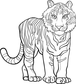 cartoon tiger wild animal character coloring book