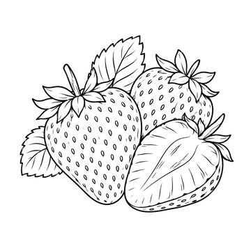 Cute strawberry coloring page with leaves and slices, black and white vector outline illustration