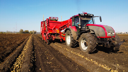 Red Tractor Pulling Potato Harvester Machine in Agricultural Field © Andrey
