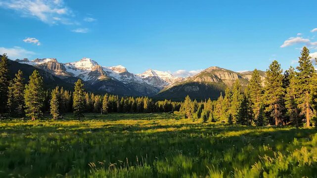 Scenic mountain landscape with evergreen forest at golden hour