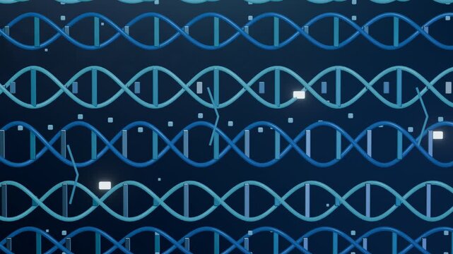 Luminous Genome Signals Across Parallel DNA Helices