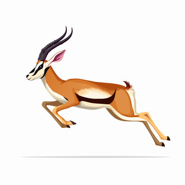 Dynamic vector illustration of a jumping springbok antelope leaping isolated on white background