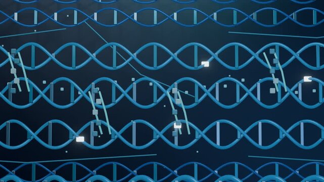 Genome Activity Relayed Across Nucleotide Bridge Clusters