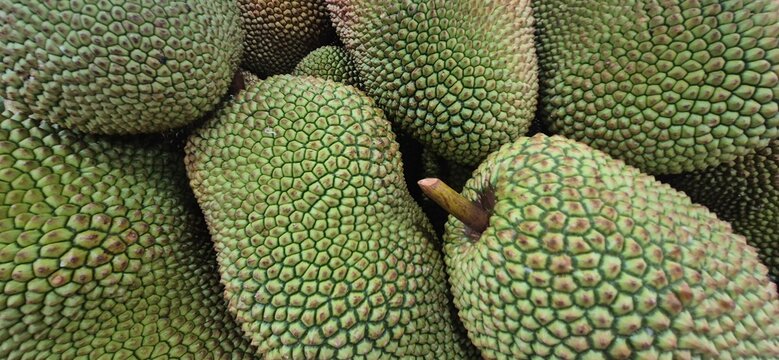Close-up of the textured green skin of a fresh jackfruit, highlighting its unique natural pattern and tropical fruit surface.